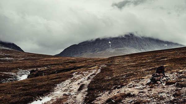 Top Budget-Friendly Wildlife Viewing Adventures in the Scottish Highlands